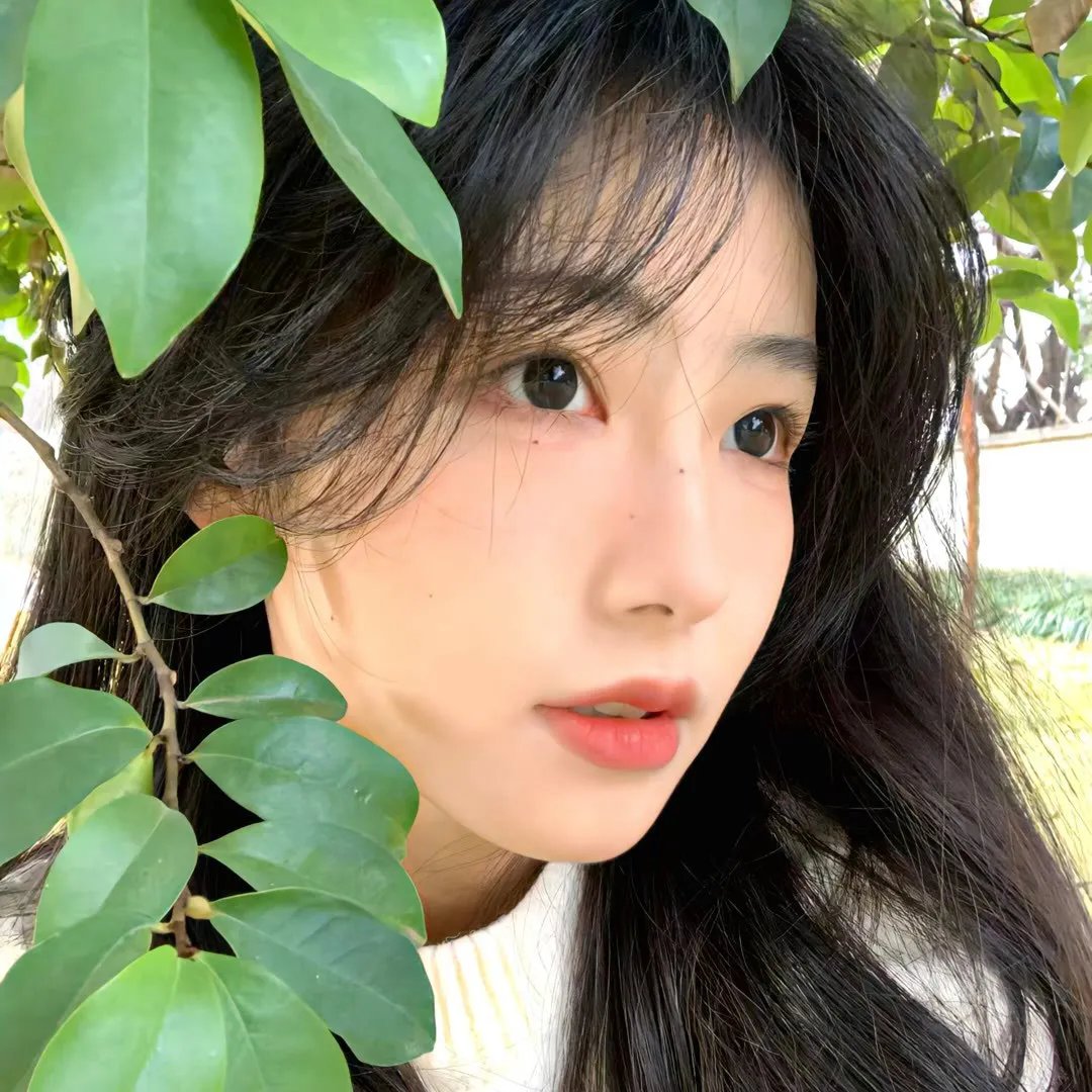 兔仙王妃